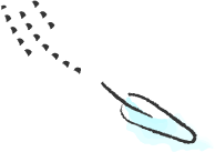 feather
